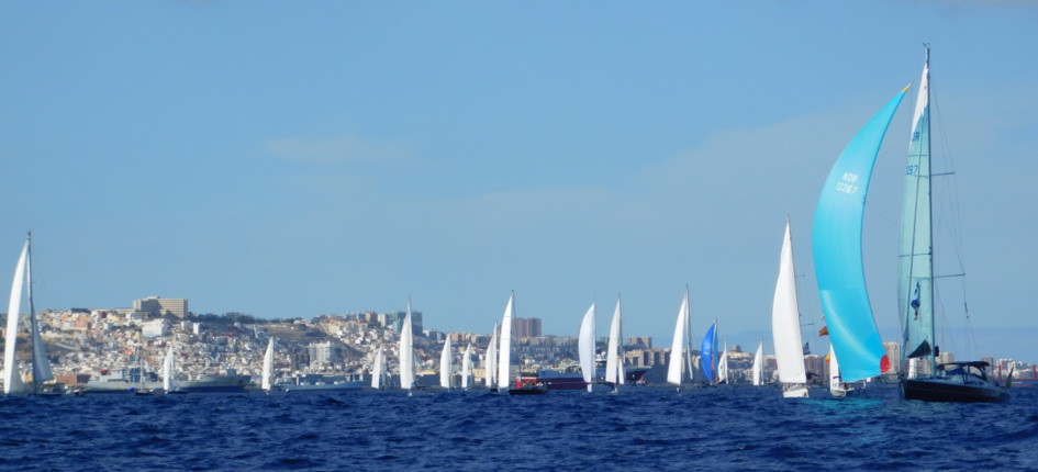 Regatta mit mehreren Segelbooten auf dem Meer