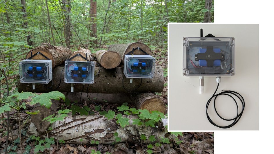 Hier sind drei Sensorboxen an einem Holzstapel zu sehen. Es können die Umgebungstemperatur und -feuchte sowie Temperatur und Feuchte im Holz gemessen werden. 