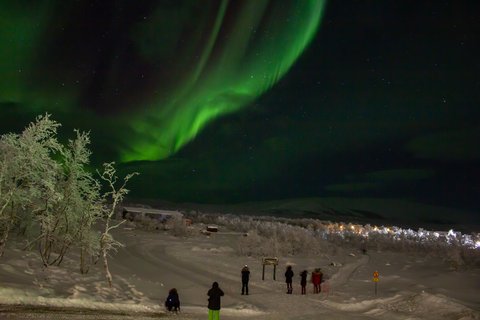 Nordlicht in Finnland (öffnet Vergrößerung des Bildes)