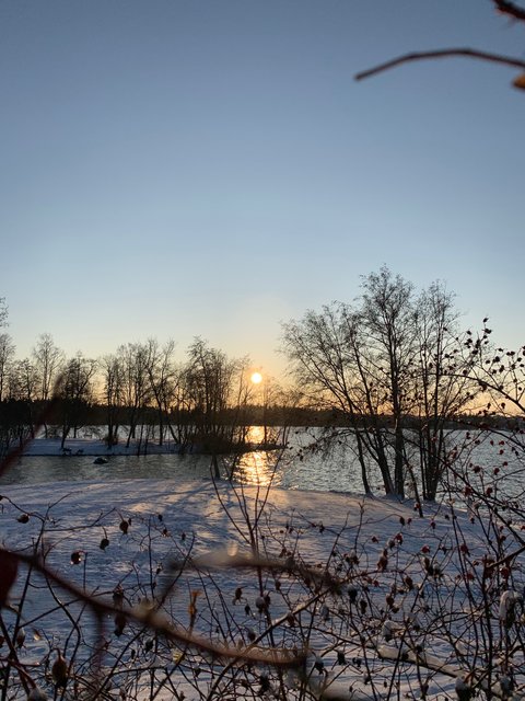 Sonnenuntergang im Winter von Finnland (öffnet Vergrößerung des Bildes)