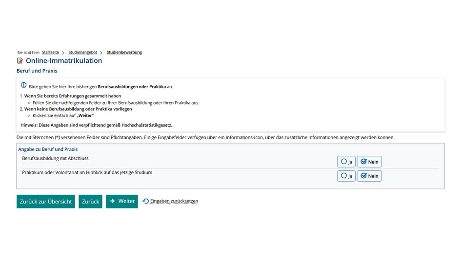 10. Mache deine Angaben zu Berufsausbildungen oder Praktika. Wenn du keine einschlägige Ausbildung oder Praktika absolviert hast, dann lasse einfach die Felder frei. Klicke auf "Weiter".