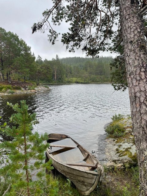 Die Natur von Norwegen (öffnet Vergrößerung des Bildes)