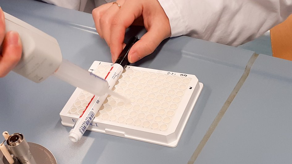 Nahaufnahme: Studierende füllen die Proben aus dem Fümmelsee in die dafür vorgesehenen Behälter.