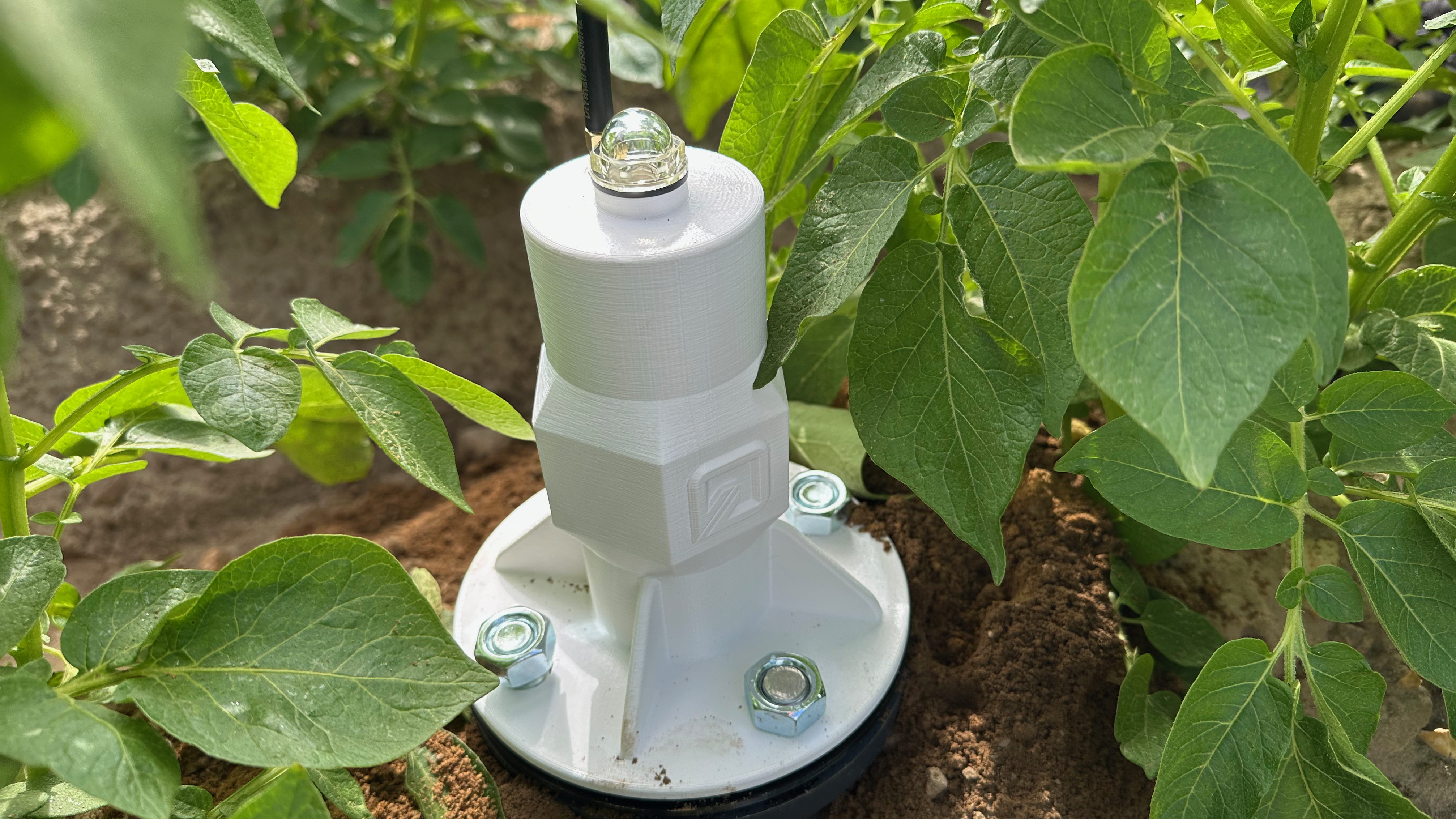 Low-Cost-Bodenfeuchtesensor im Boden auf einem Kartoffelacker eingebracht - nicht eingeschlämmt.