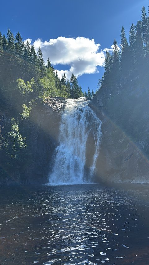 Die Natur von Norwegen (öffnet Vergrößerung des Bildes)