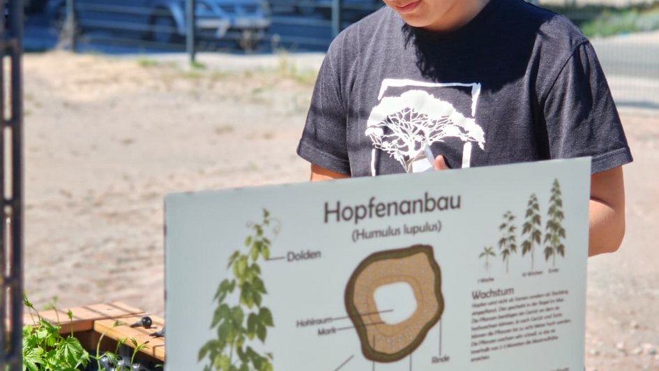 Lisa Klatt bepflanzt das Hochbeet