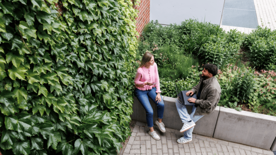 Studierende am Campus Suderburg nutzen die räumliche Flexibilitat des Studiengangs Soziale Arbeit Online.
