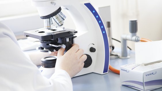 Studierende Person im Labor des Instituts für Biotechnologie und Umweltforschung