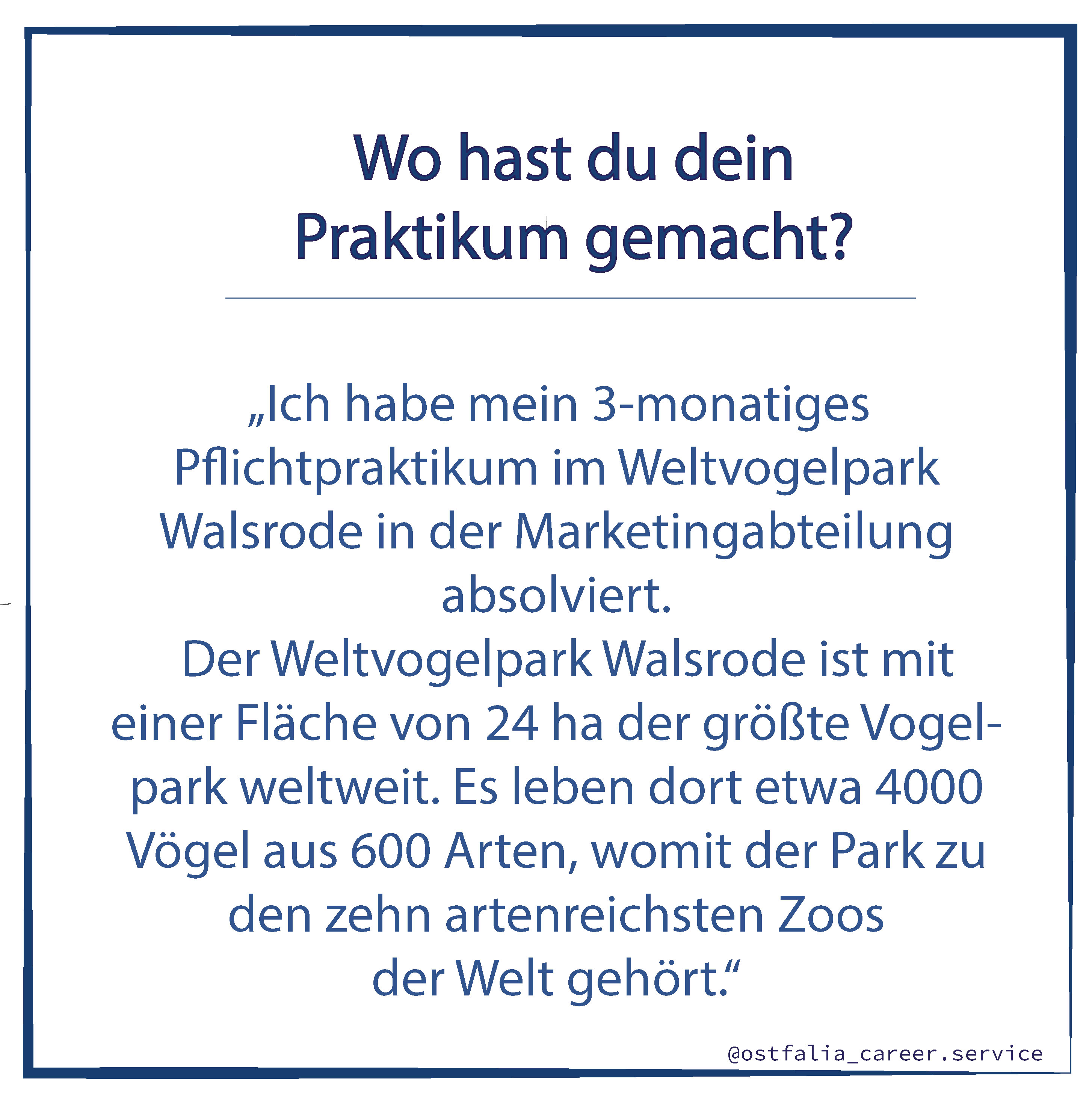 #meinPraktikum (öffnet Vergrößerung des Bildes)