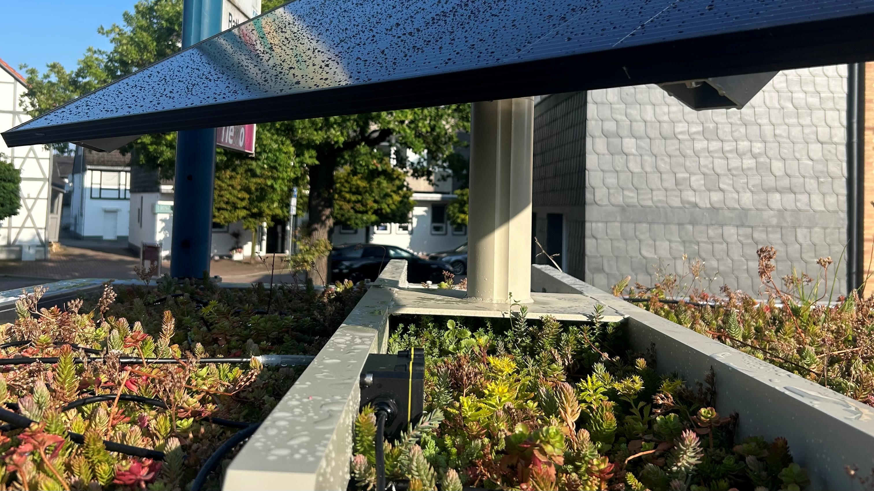 Das Bild zeigt das Solarpanel und den Bodenfeuchtesensor auf dem Gründach einer Wartehalle. (öffnet Vergrößerung des Bildes)