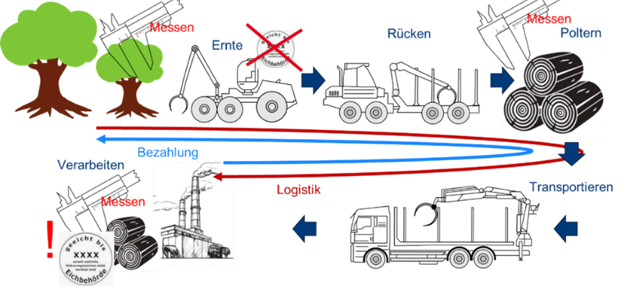Die Grafik zeigt die Prozesskette bei der Holzernte (Ernte, Rücken, Poltern, Transportieren, Verarbeiten) und bei welchem Prozessschritt eine Messung erfolgt. 