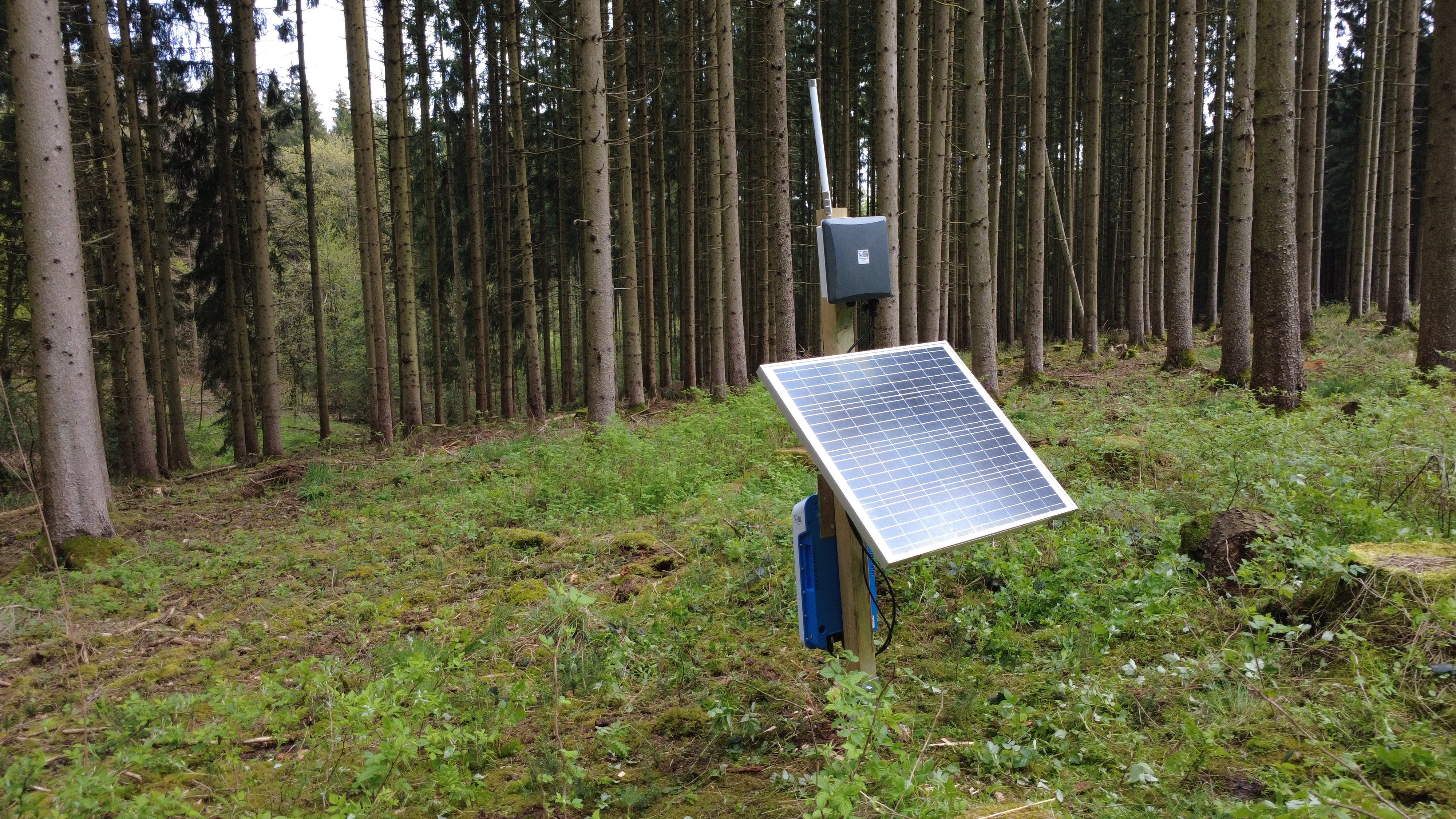 Das Bild zeigt das autarke Gateway auf den Versuchsflächen im Solling, insbesondere das Solarmodul für die Energieversorgung.