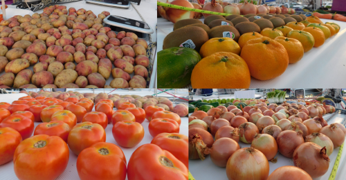 Einkaufen, säubern und trocknen der Lebensmittel für 3 Wochen